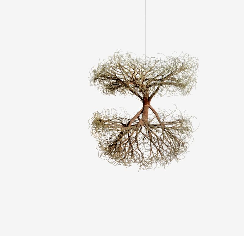 Ruth Asawa. Untitled (S.390, Hanging Tied-Wire, Double-Sided, Center-Tied, Multi-Branched Form with Curly Ends), 1963