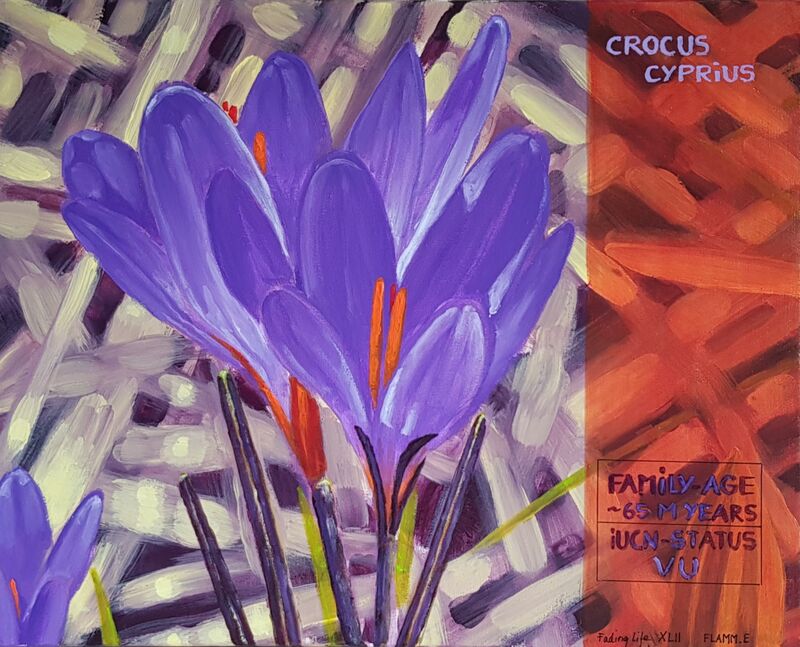 Elvira Flamm, Fading Life XLII, 2022