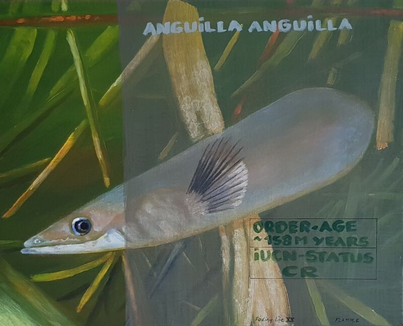 Elvira Flamm, Fading Life XX, 2022