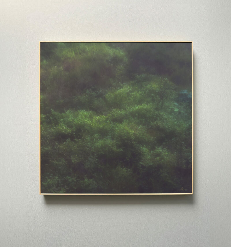 Ulrike Pichl, Am Grund, 2024, 50 x 50 cm