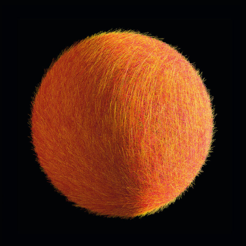 Christoph Pauschenwein, Planet 16