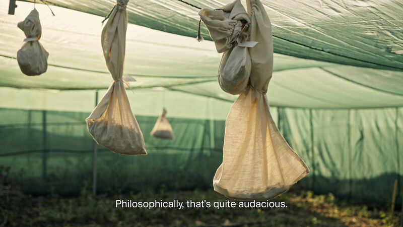 Sowing the Seeds for the Future, film still