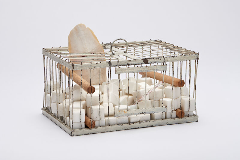 Marcel Duchamp. Why Not Sneeze, Rose Sélavy?, 1921