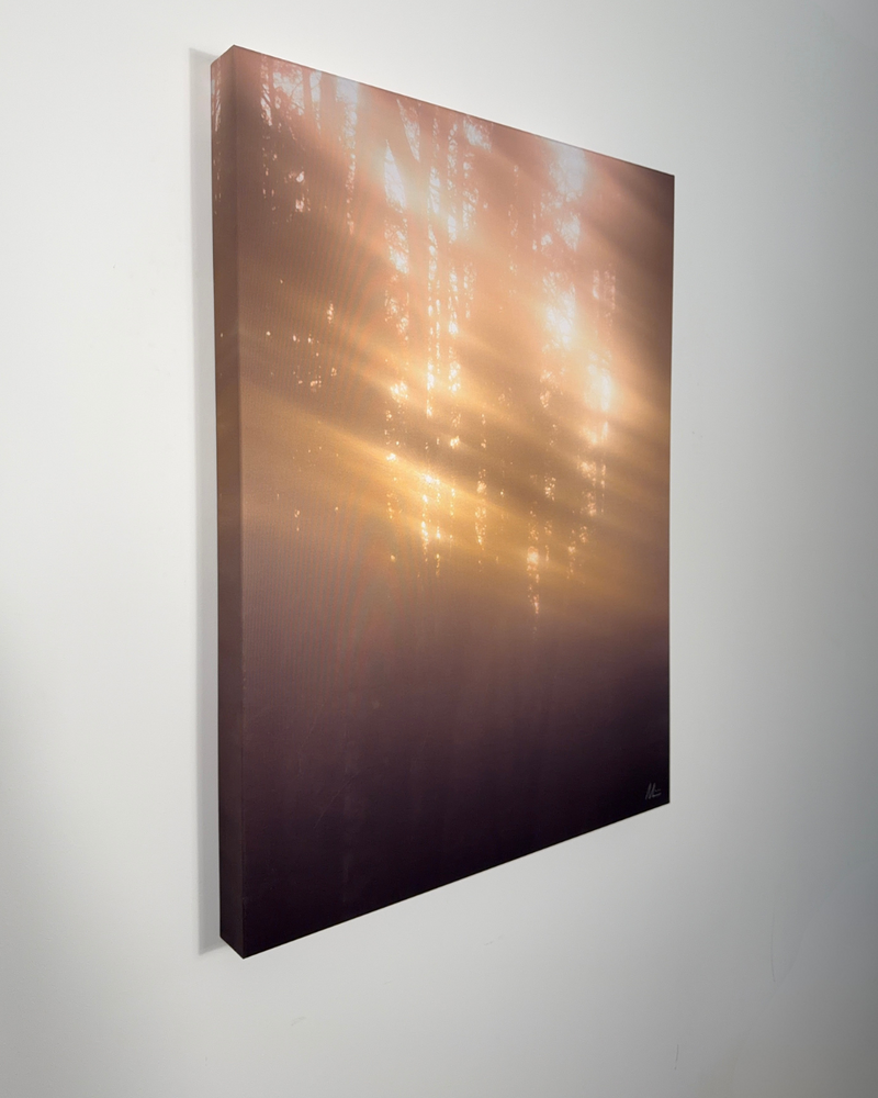 Installationsansicht der Ausstellung »Vom Aufleuchten der Dinge«.