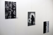 Ausstellungsansicht »Malerische Fotografie« von Elitza Nanova.