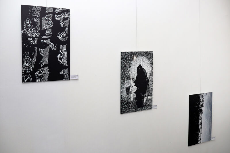 Ausstellungsansicht »Malerische Fotografie« von Elitza Nanova.