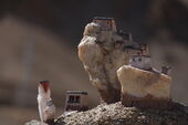 ‘Untitled’, 2023, by Jigmet Angmo, sā Ladakh - Edition One, 2023. Photo by Rahul Gautam. Courtesy of sā Ladakh Biennale.