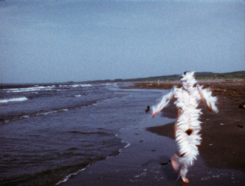 Ana Mendieta, Bird Run, 1974