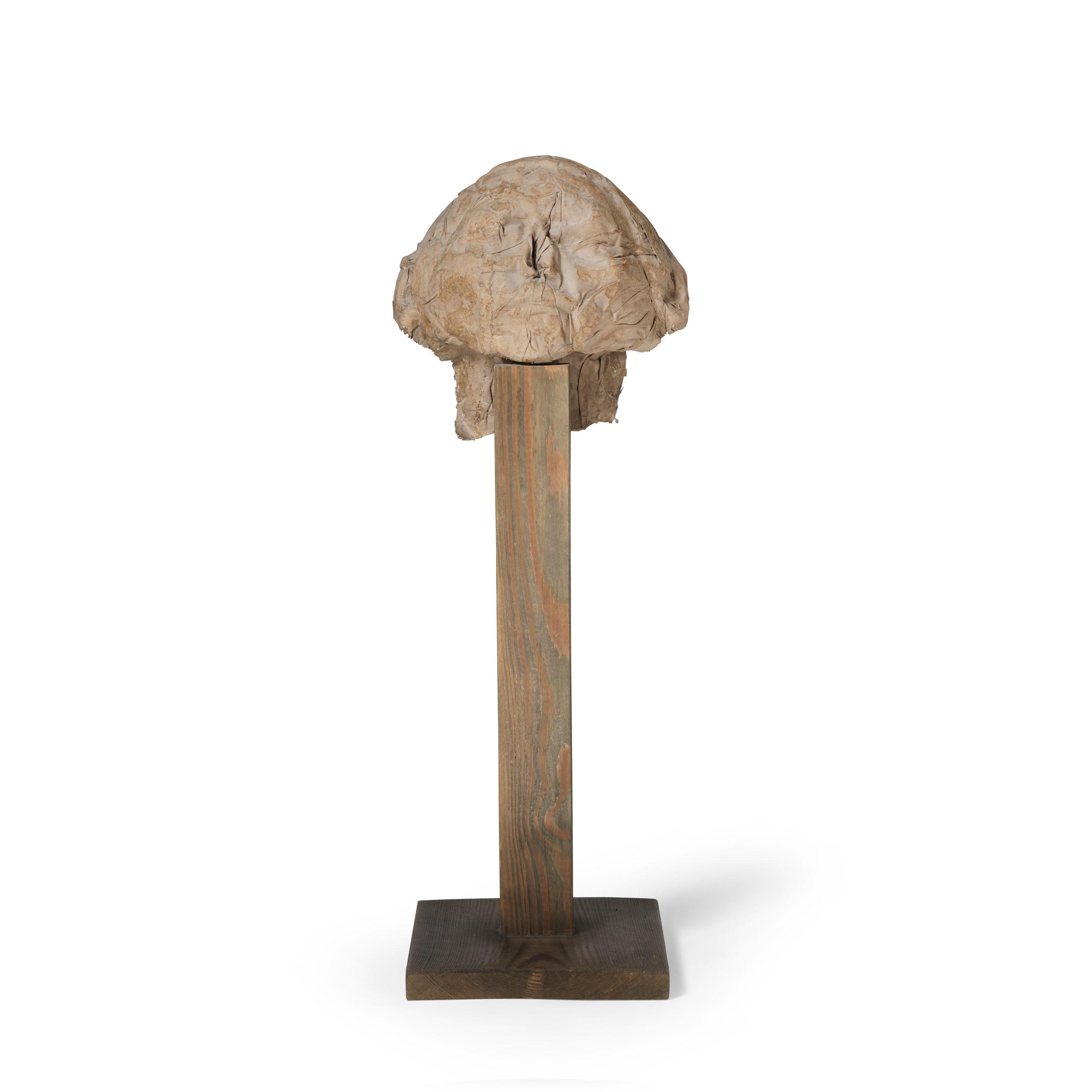 Magdalena Abakanowicz - Anonymous Portrait IV