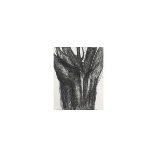 Magdalena Abakanowicz - Body Of An Old Lime Tree