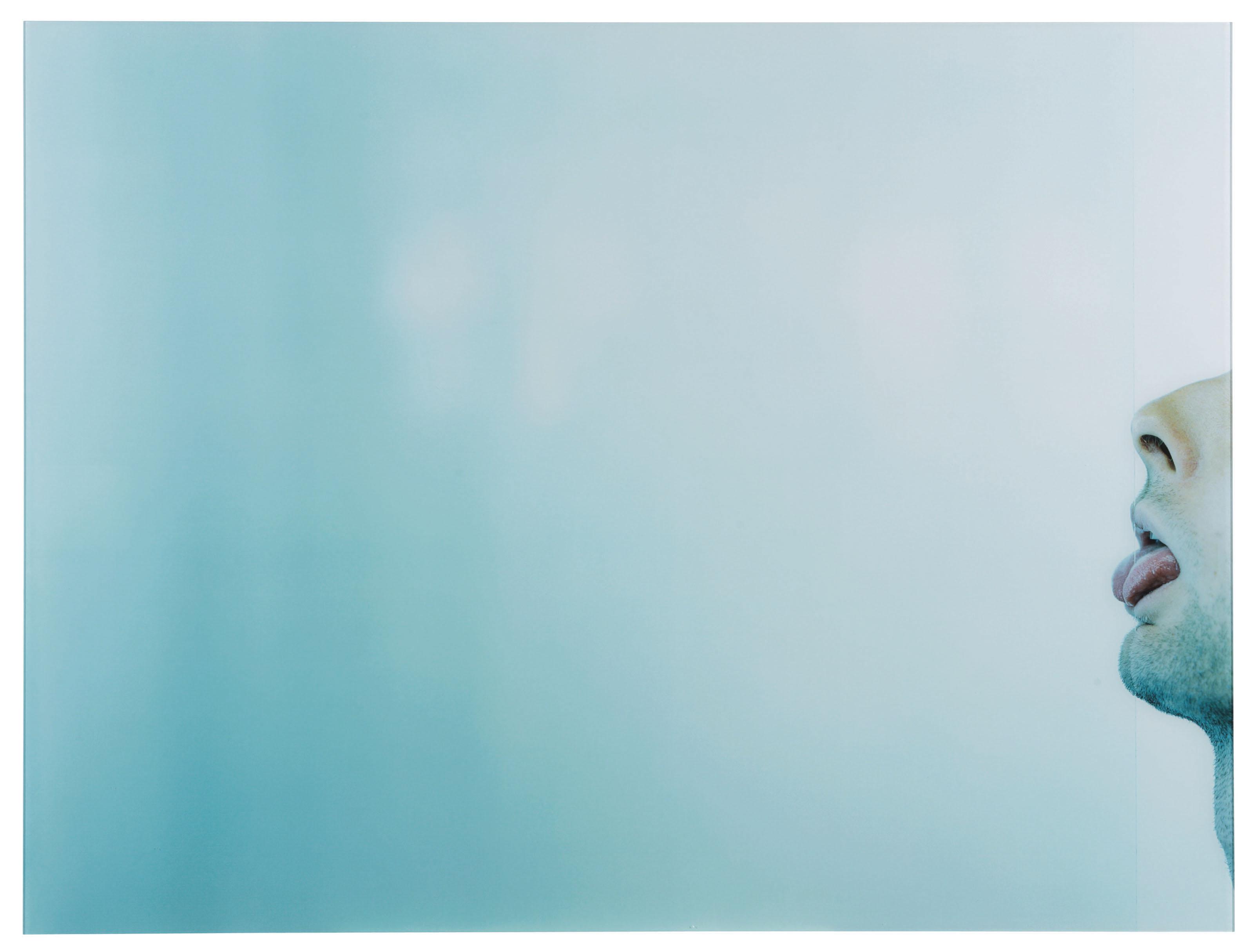 Magnus Plessen - Licking