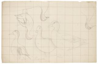 Magnus von Wright - Studier av Årta