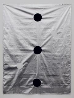 Mai-Thu Perret - Frozen Waves, 2010