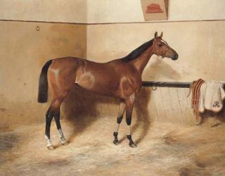 Major Godfrey Douglas Giles - Lady Minting in a stable