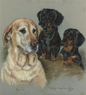 Majorie Cox - Polly, Sophie and Flip