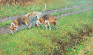 Malcolm Coward - The Check - Foxhounds