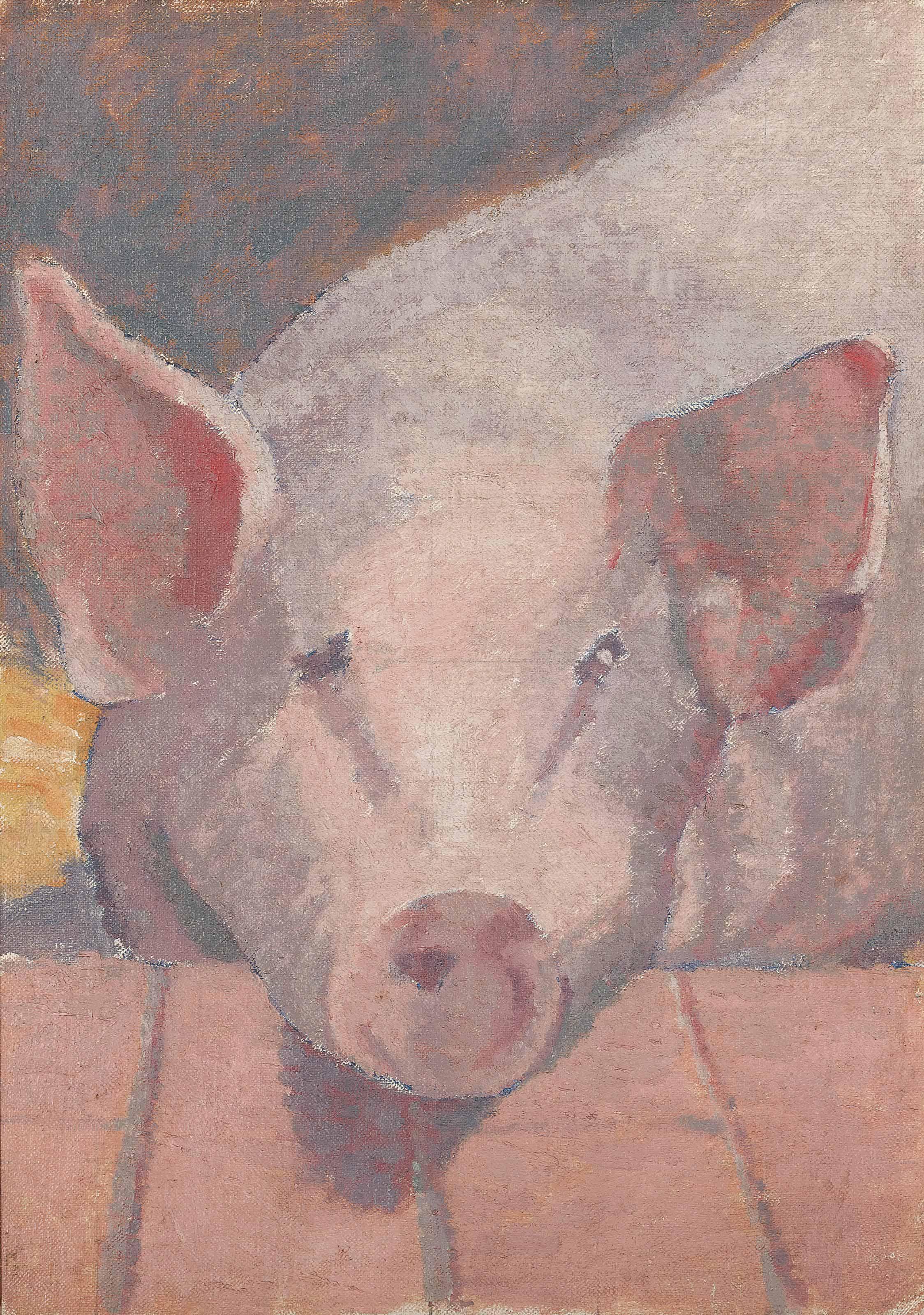 Malcolm Drummond - Sally