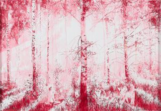 Malgosia Jankowska - \