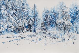 Malgosia Jankowska - Blauer Schlitten.