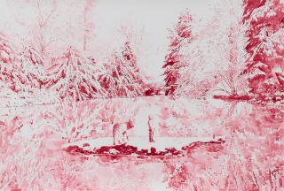 Malgosia Jankowska - Ohne Titel.