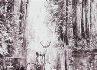 Malgosia Jankowska - \