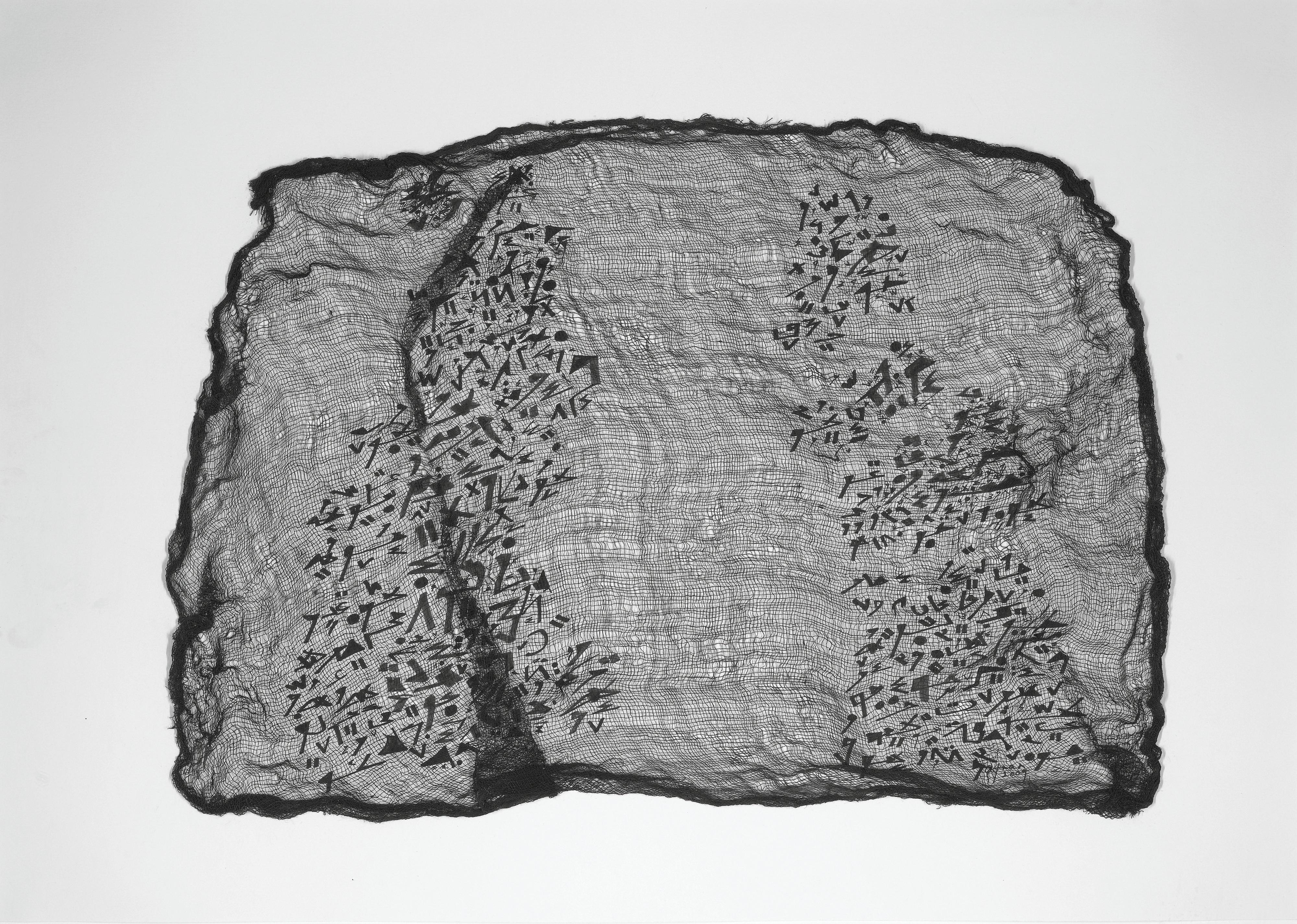 Maliheh Afnan - Veiled Confrontations