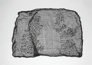 Maliheh Afnan - Veiled Confrontations