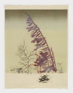 Mamma Andersson - Fir