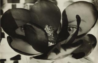Man Ray - Magnolia (Double Exposure)