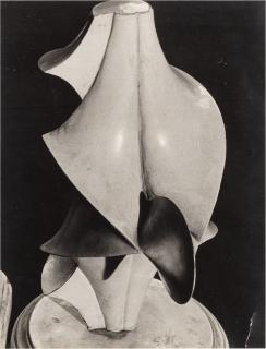 Man Ray - Mathematical Object