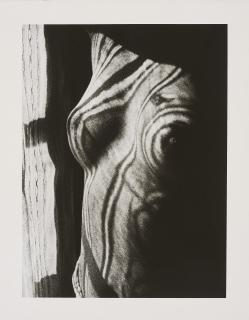 Man Ray - Retour à la raison, 1923.