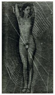 Man Ray - Untitled (Spider Woman), circa 1929