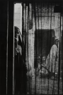 Mandana Vahabzadeh - Fatehpur, India