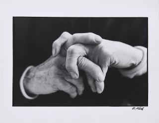 Manfred Hamm - Die Hände von Hannah Höch.