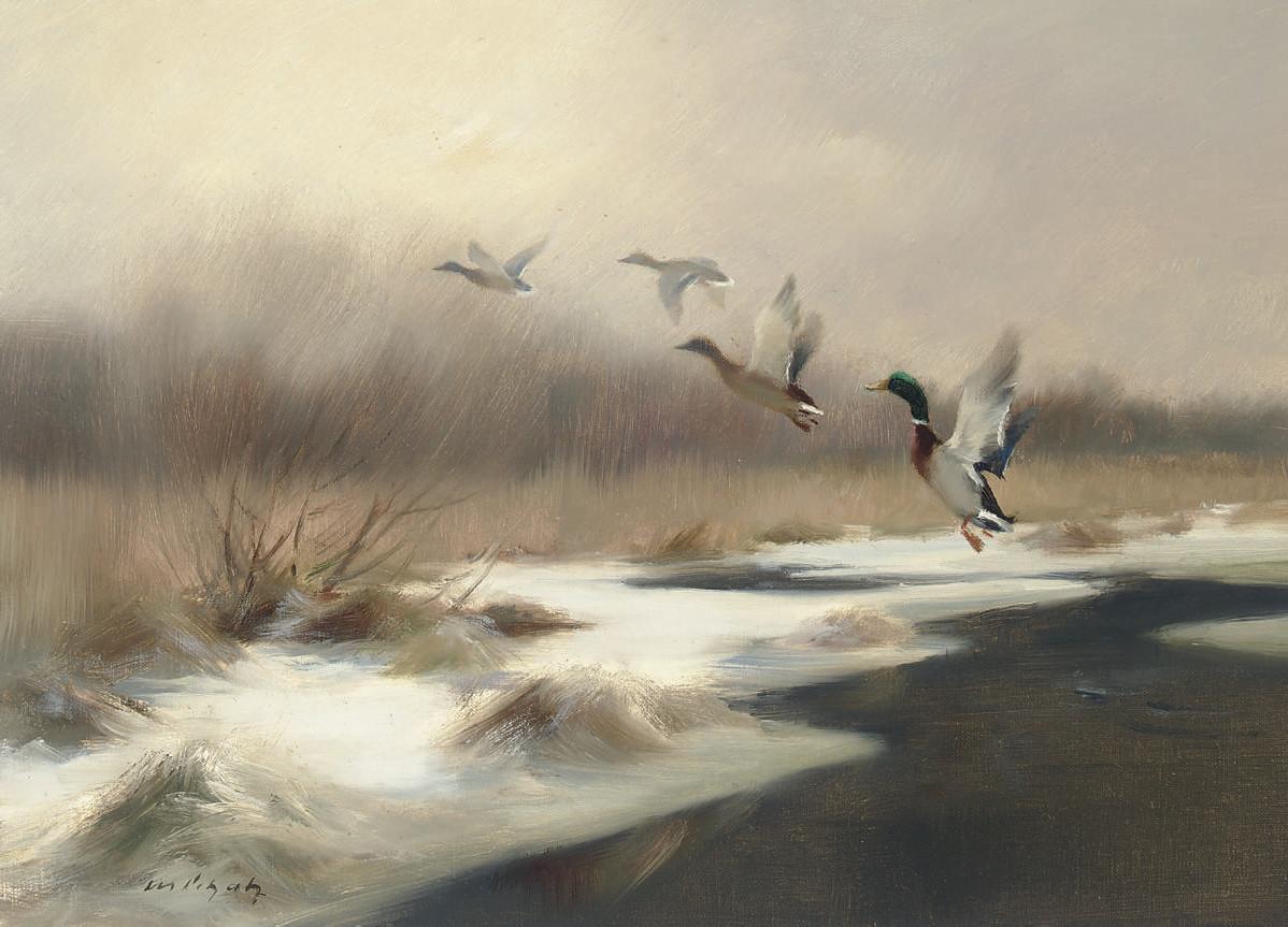 Manfred Schatz - Ducks alighting over King\'s Marsh