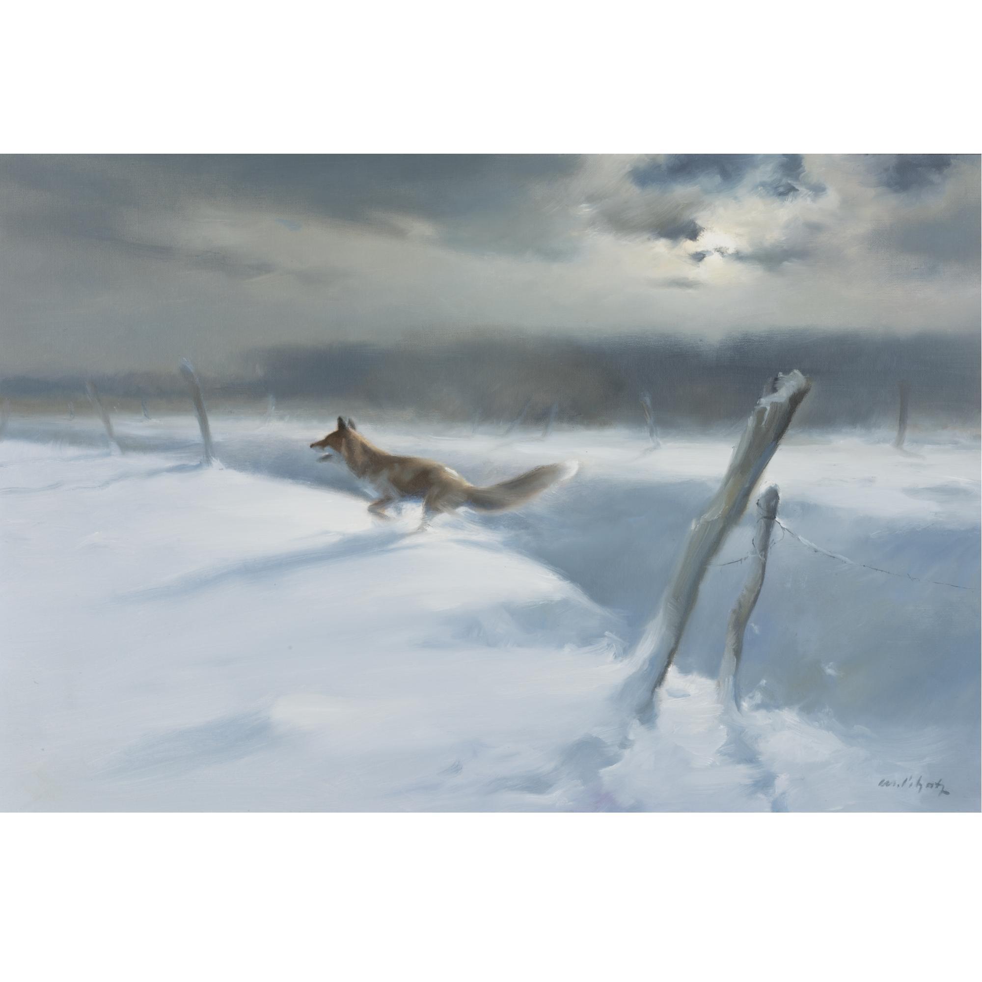 Manfred Schatz - German Hunting Fox - The Endless Search