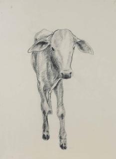 Manjit Bawa - Untitled (Cow)