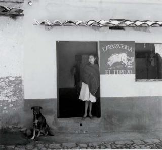 Manuel Álvarez Bravo - Dog Number Twenty, 1958