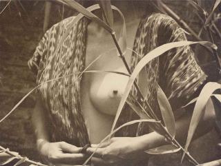 Manuel Álvarez Bravo - Fruta Prohibida, 1972