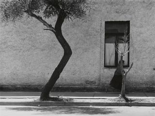 Manuel Álvarez Bravo - La Maria