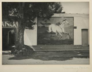 Manuel Álvarez Bravo - Paisaje De Equitación