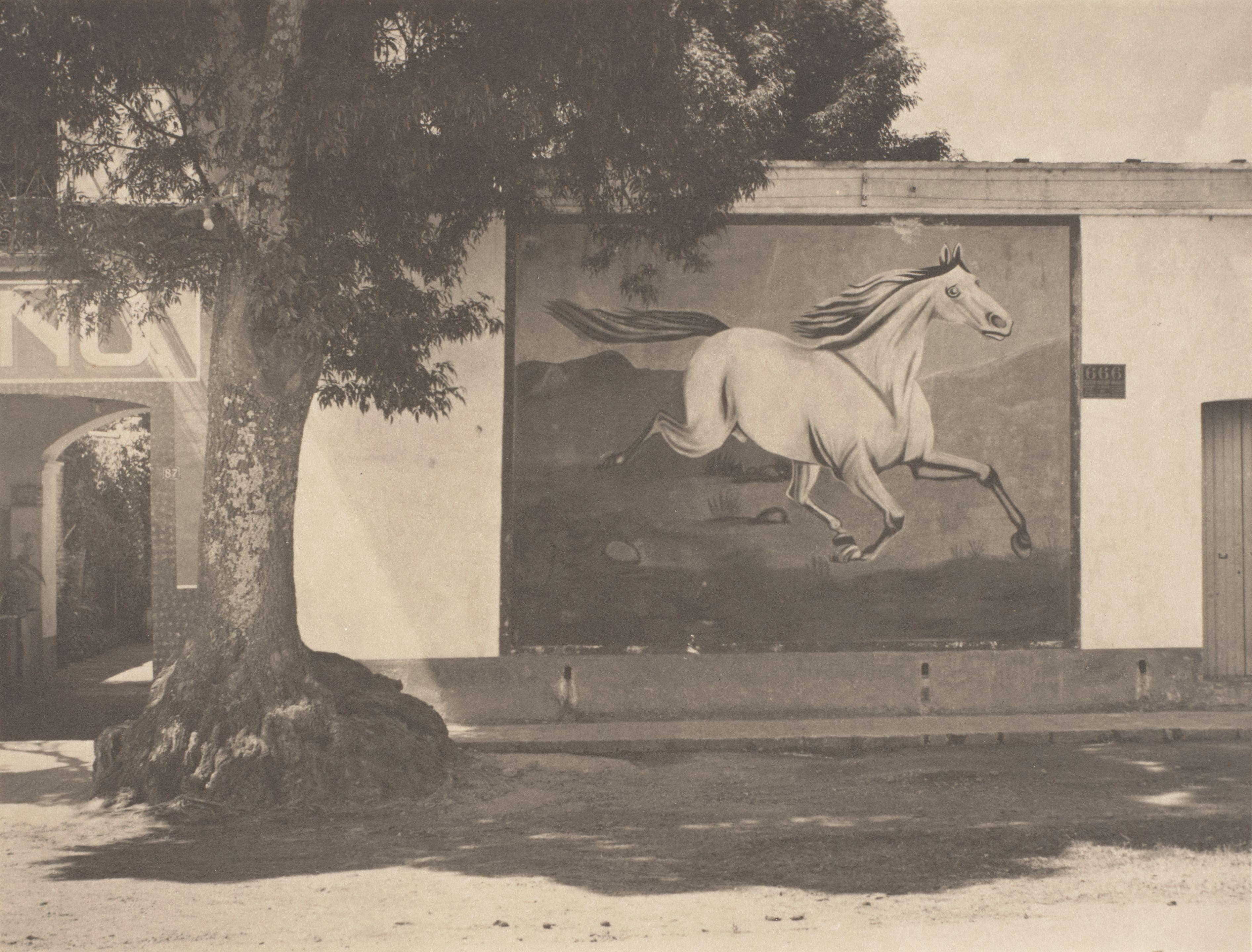 Manuel Alvarez Bravo - Paisaje y Galope