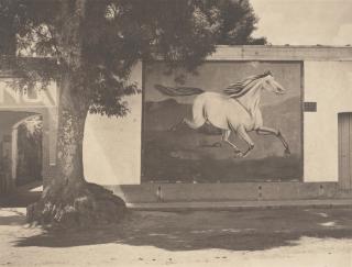 Manuel Alvarez Bravo - Paisaje y Galope