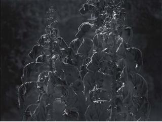 Manuel Álvarez Bravo - Planta Cimaranna, late 1960s