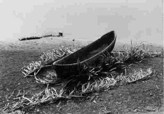 Manuel Alvarez Bravo - Selected images (1935-68)