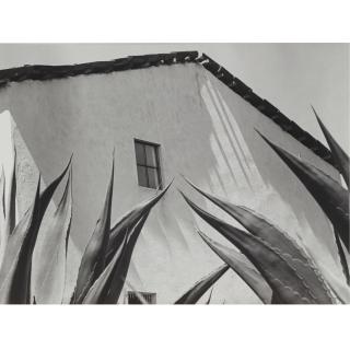 Manuel Álvarez Bravo - Selected Images Of Mexico