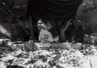 Manuel Alvarez Bravo - Set Trap