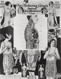 Manuel Alvarez Bravo - Sistema Nervioso del Gran Simpatico