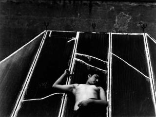 Manuel Alvarez Bravo - Sparrow, Skylight