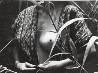 Manuel Alvarez Bravo - Venus (Fruta Prohibida), Mexico, 1977